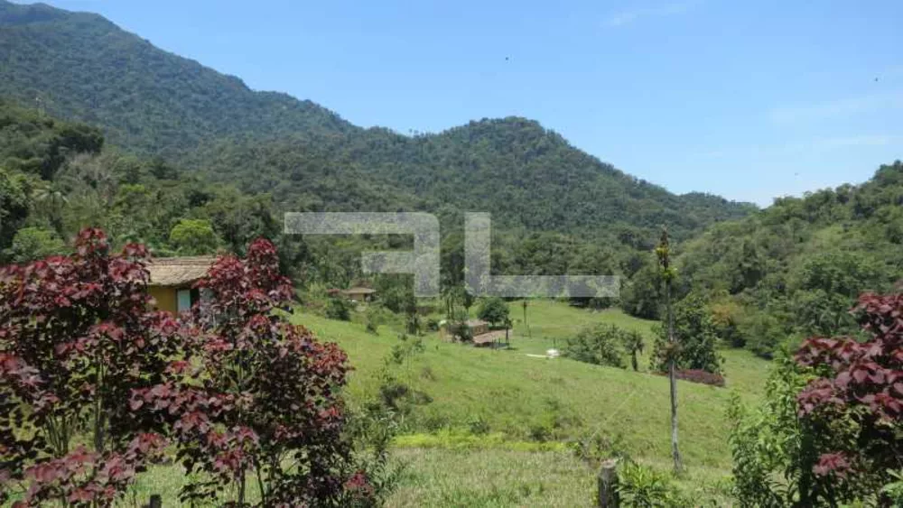 Fazenda, 100 hectares - Foto 16
