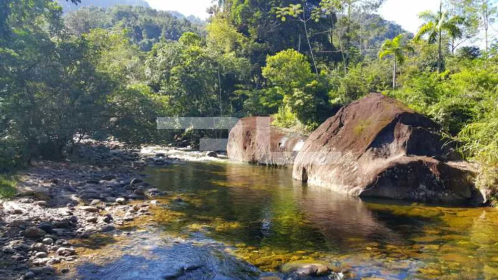 Fazenda, 100 hectares - Foto 24