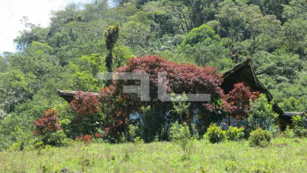 Fazenda, 100 hectares - Foto 17