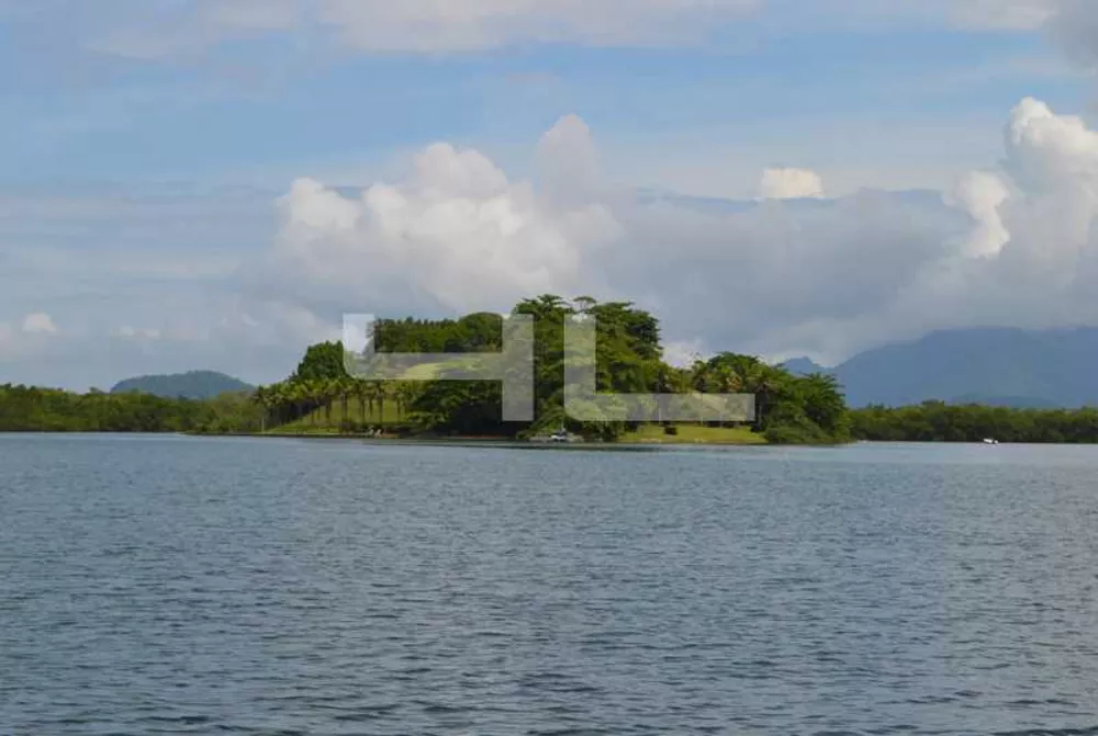 Terreno, 2 hectares - Foto 4