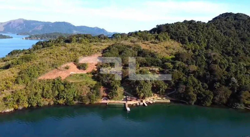 Terreno, 3 hectares - Foto 7