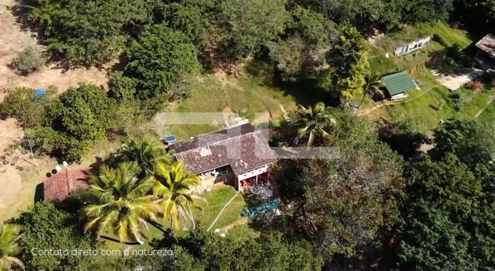 Terreno, 3 hectares - Foto 19