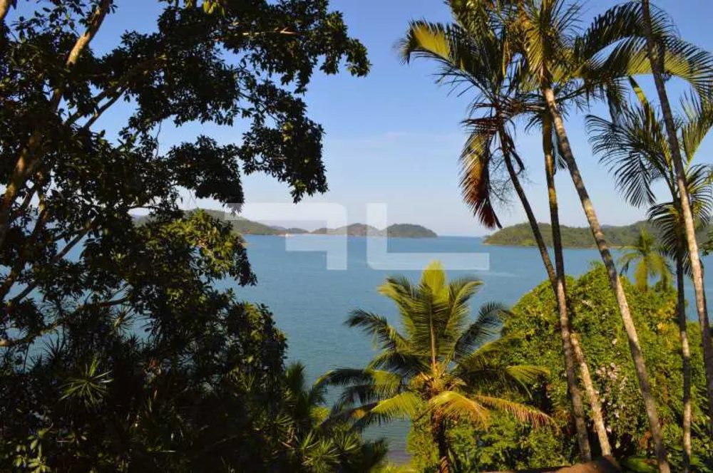 Terreno, 2533 m² - Foto 3