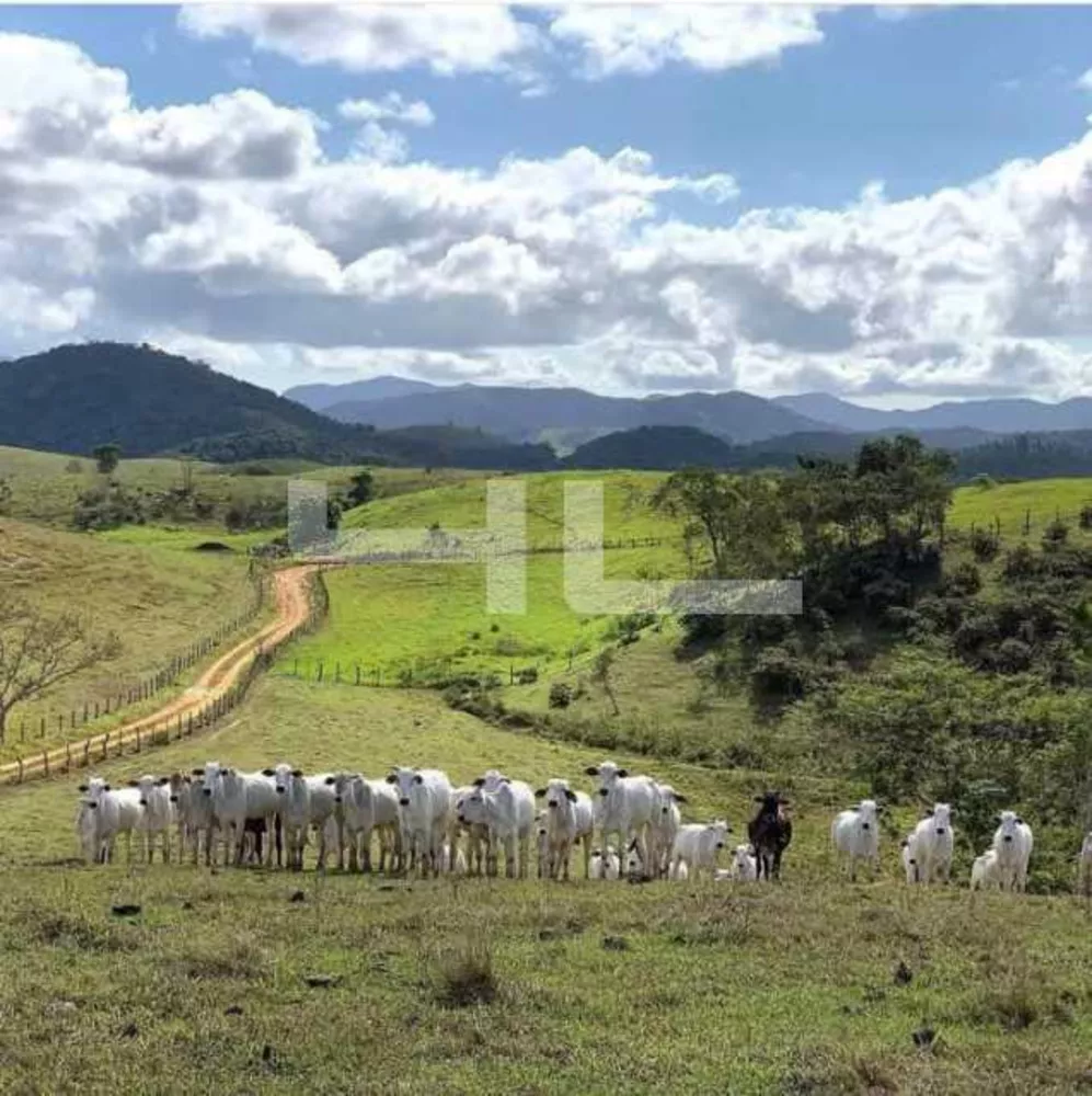 Fazenda, 8 quartos - Foto 2
