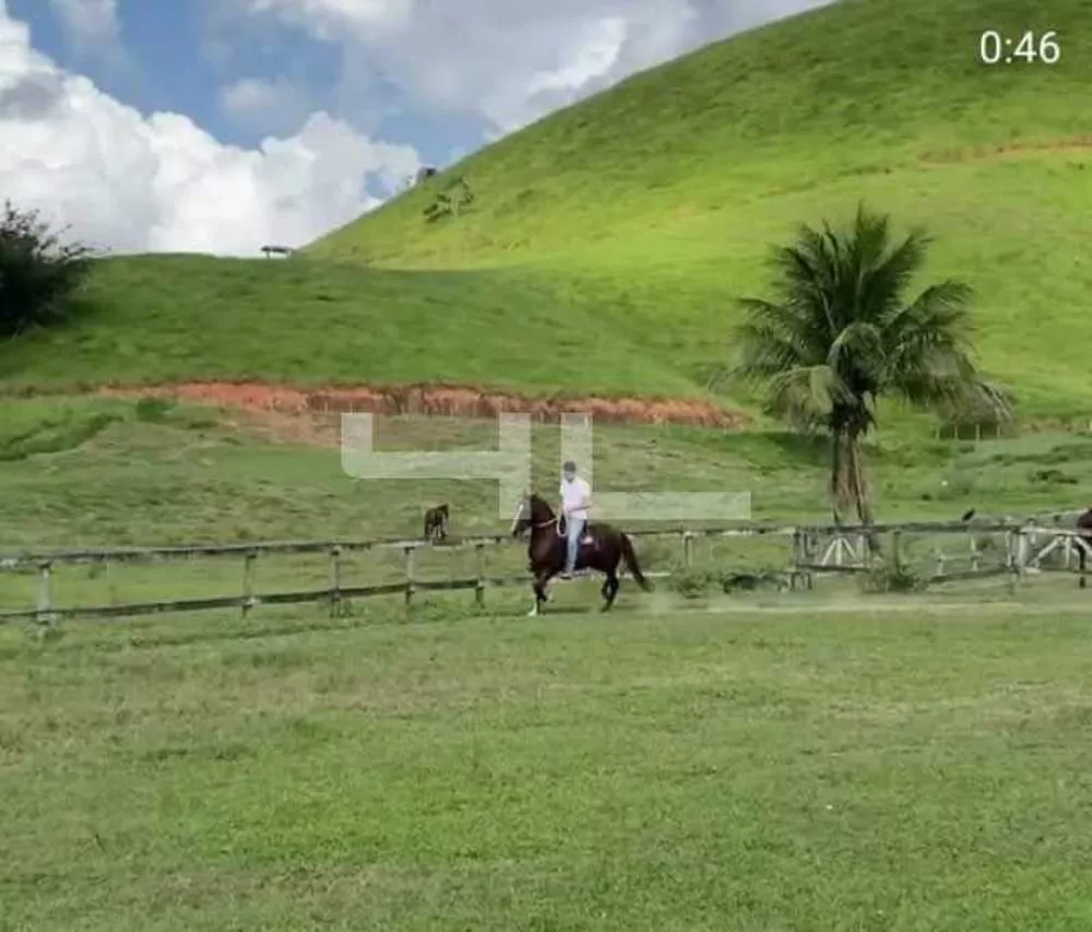 Fazenda, 8 quartos - Foto 5