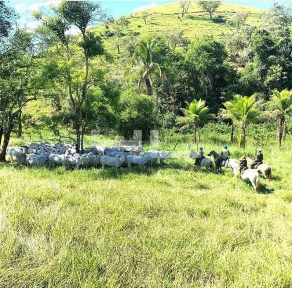 Fazenda, 8 quartos - Foto 4
