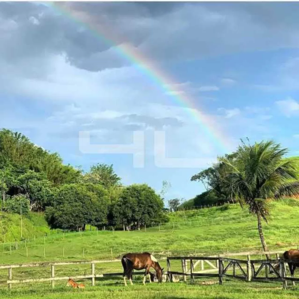 Fazenda, 8 quartos - Foto 1