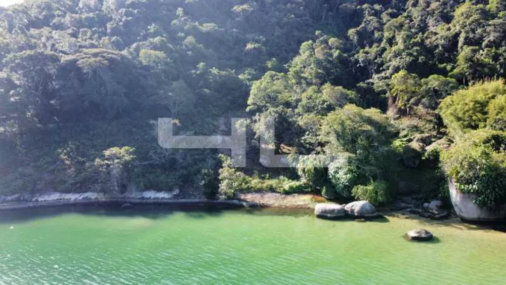 Terreno, 3 hectares - Foto 6