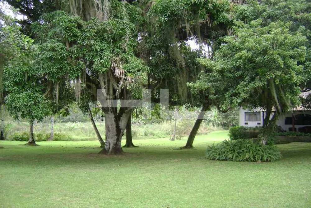 Terreno, 3 hectares - Foto 12