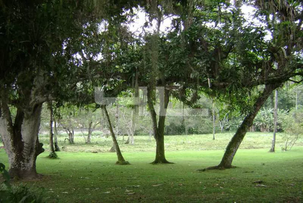 Terreno, 3 hectares - Foto 3