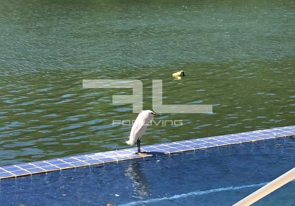 Casa de Condomínio, 5 quartos - Foto 24