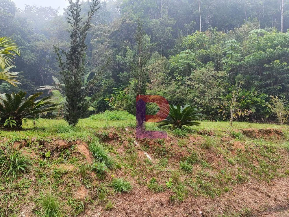 Terreno, 8000 m² - Foto 2