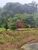 Terreno, 8000 m² - Foto 1