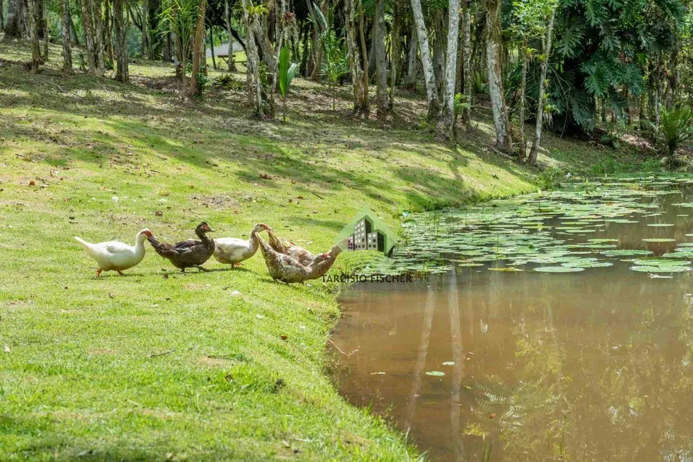 Loteamento e Condomínio, 600 m² - Foto 3