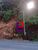Terreno, 3 hectares - Foto 4