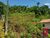 Terreno, 1 hectares - Foto 1