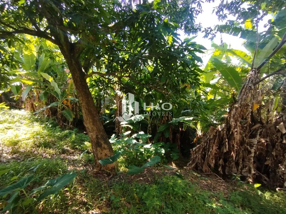 Casa, 2 quartos, 400 m² - Foto 2
