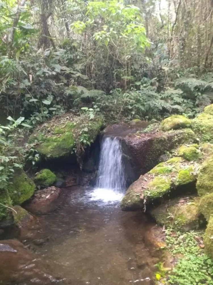 Chácara - Foto 17