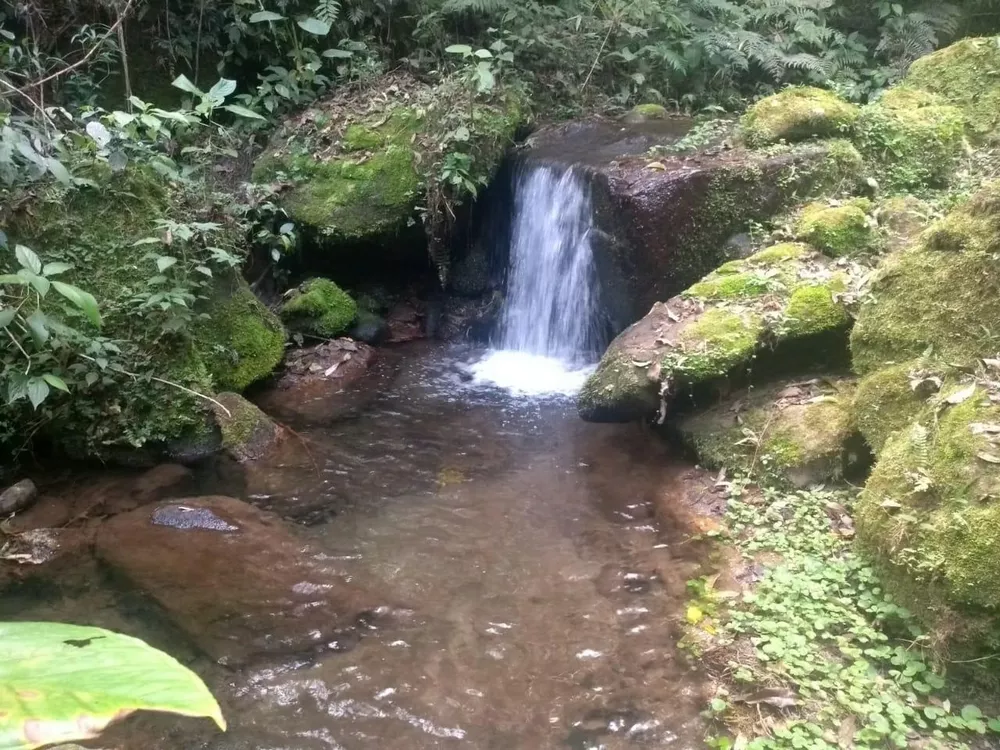 Chácara - Foto 18