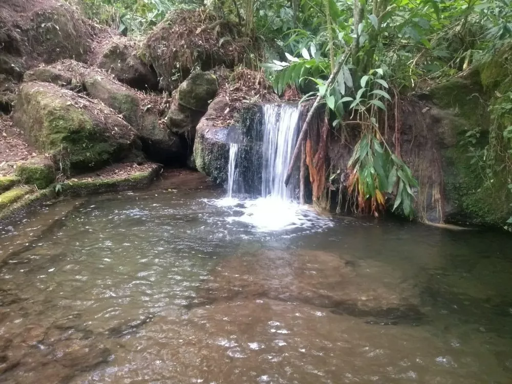 Chácara - Foto 19