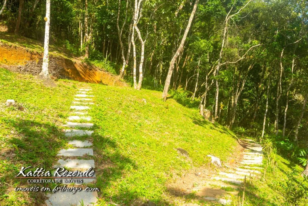 Chácara, 4 quartos, 9 hectares - Foto 15