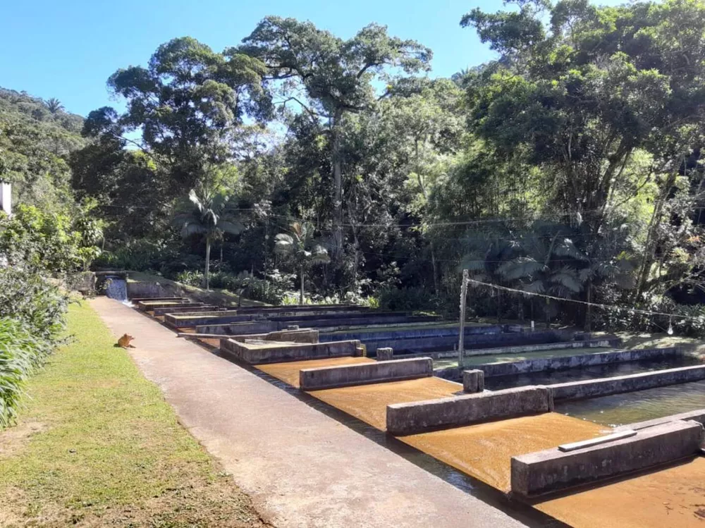 Fazenda, 180 hectares - Foto 14