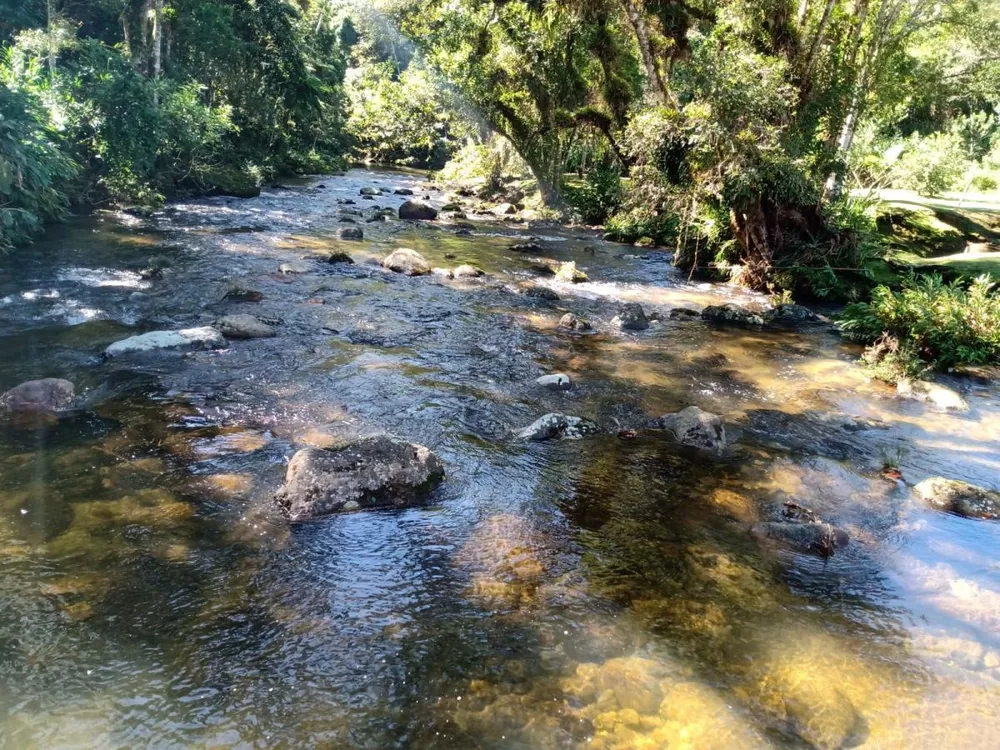Fazenda, 180 hectares - Foto 22