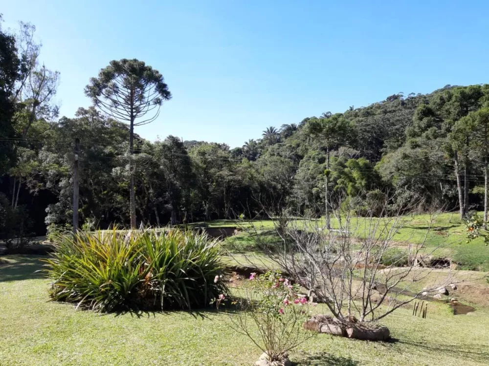 Fazenda, 180 hectares - Foto 12