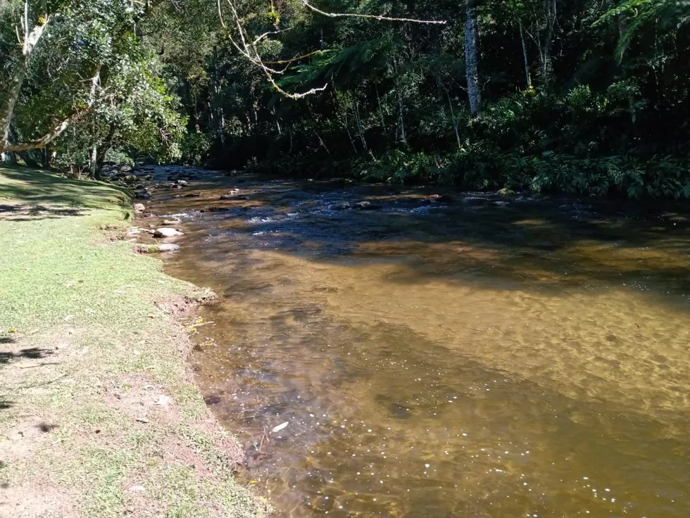 Fazenda, 180 hectares - Foto 19