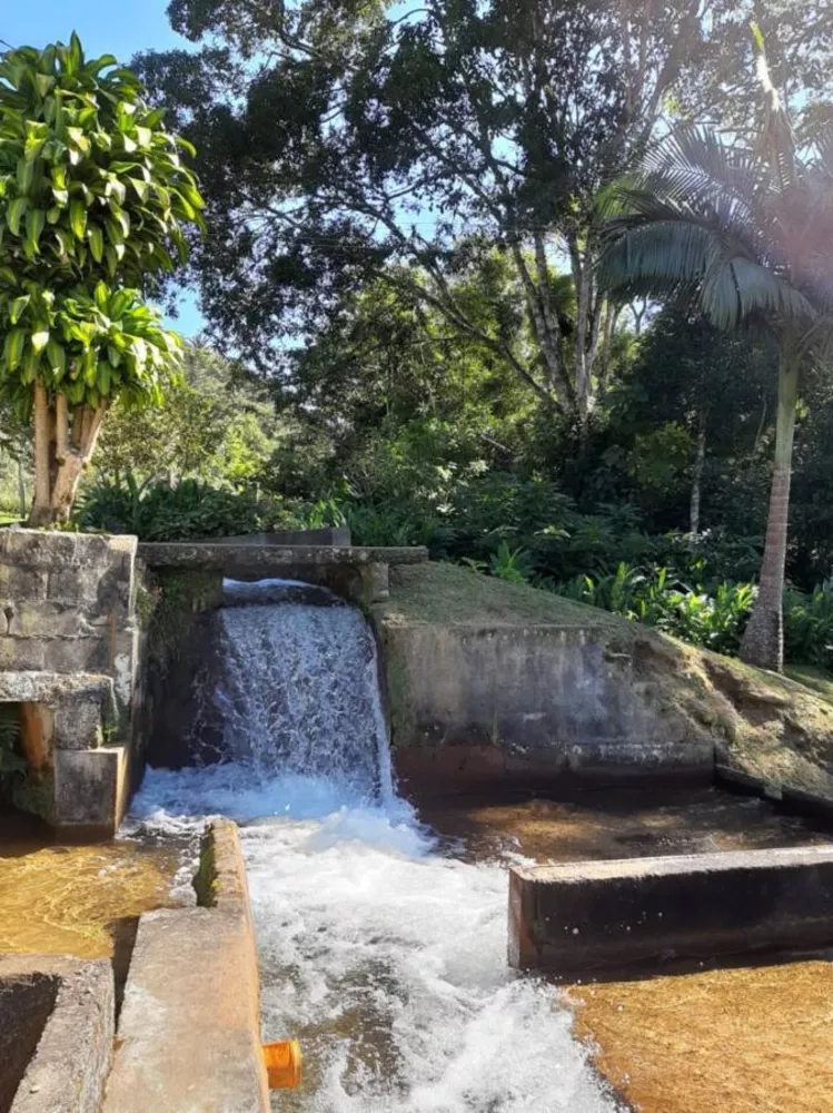 Fazenda, 180 hectares - Foto 17