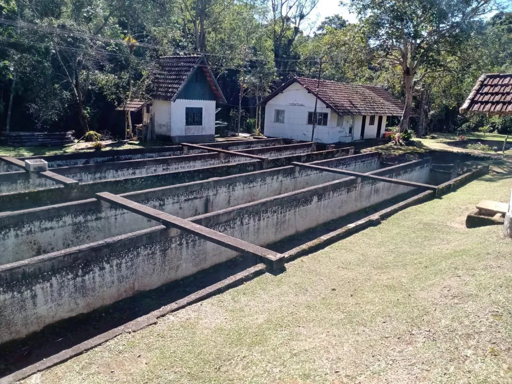 Fazenda, 180 hectares - Foto 23