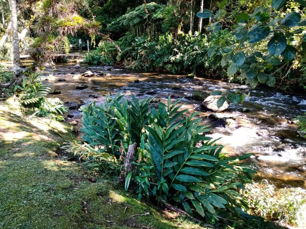 Fazenda, 180 hectares - Foto 21