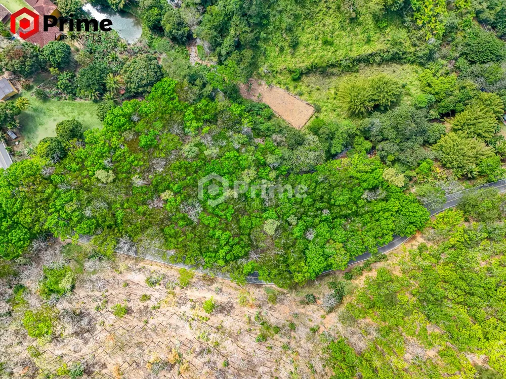 Terreno, 9000 m² - Foto 5
