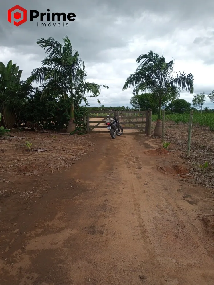 Fazenda, 4 quartos - Foto 7