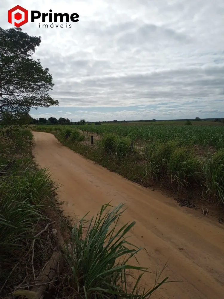 Fazenda, 4 quartos - Foto 3