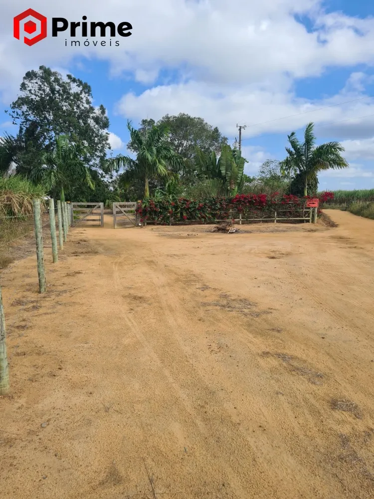 Fazenda, 4 quartos - Foto 1