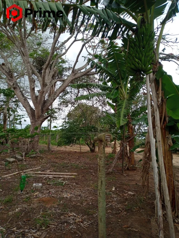 Fazenda, 4 quartos - Foto 6