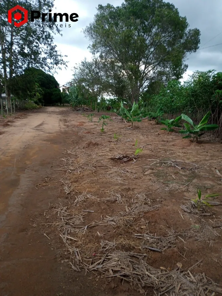 Fazenda, 4 quartos - Foto 12