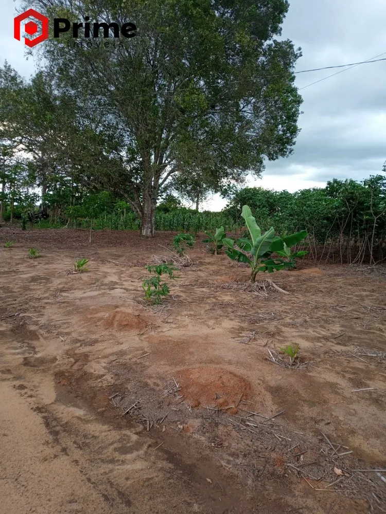 Fazenda, 4 quartos - Foto 11