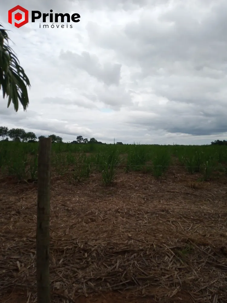 Fazenda, 4 quartos - Foto 10