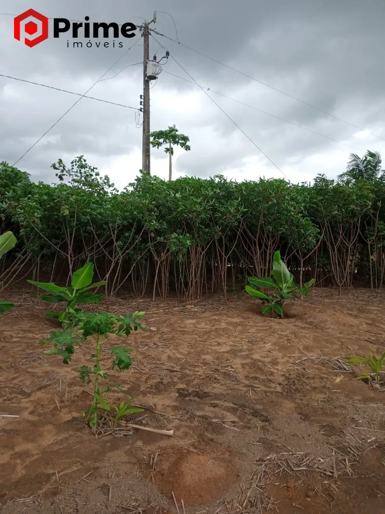 Fazenda, 4 quartos - Foto 8