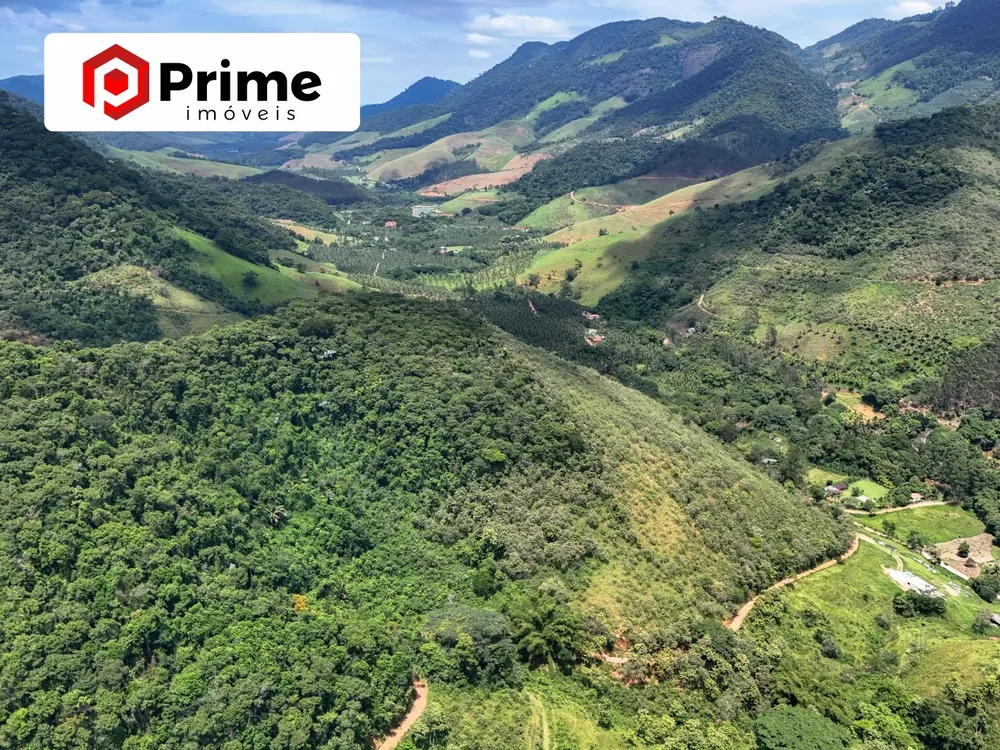 Fazenda - Foto 4