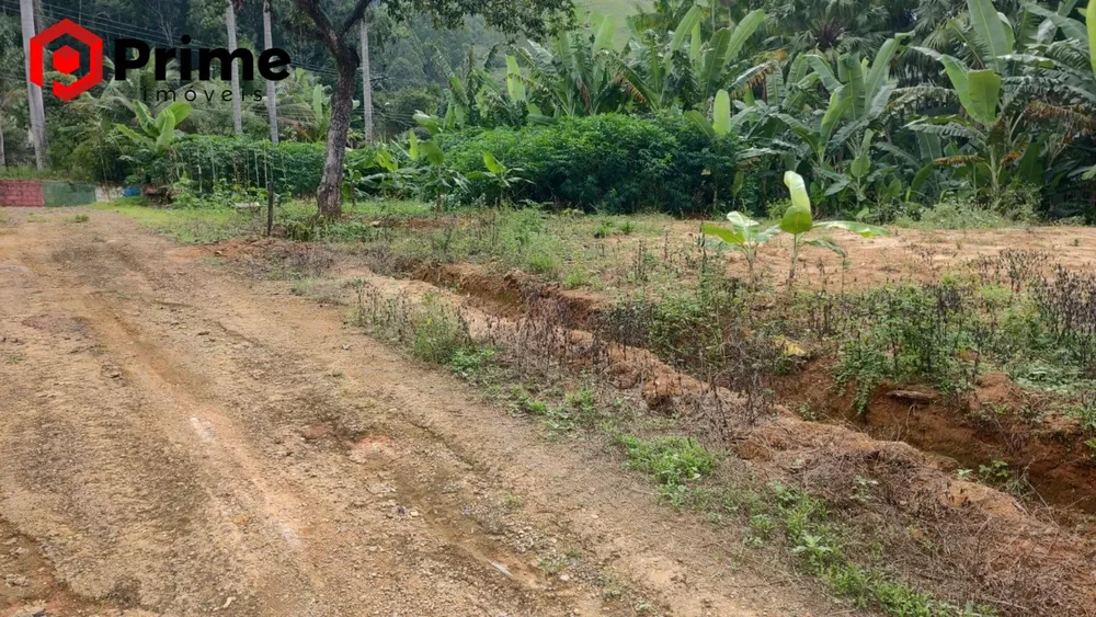 Terreno à venda - Foto 3