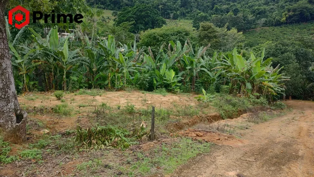 Terreno à venda - Foto 4