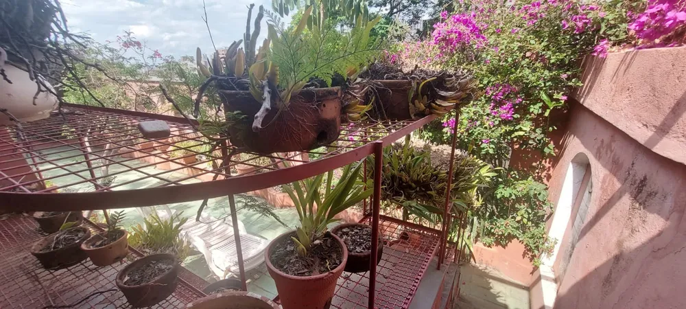 Casa, 2 quartos, 278 m² - Foto 12
