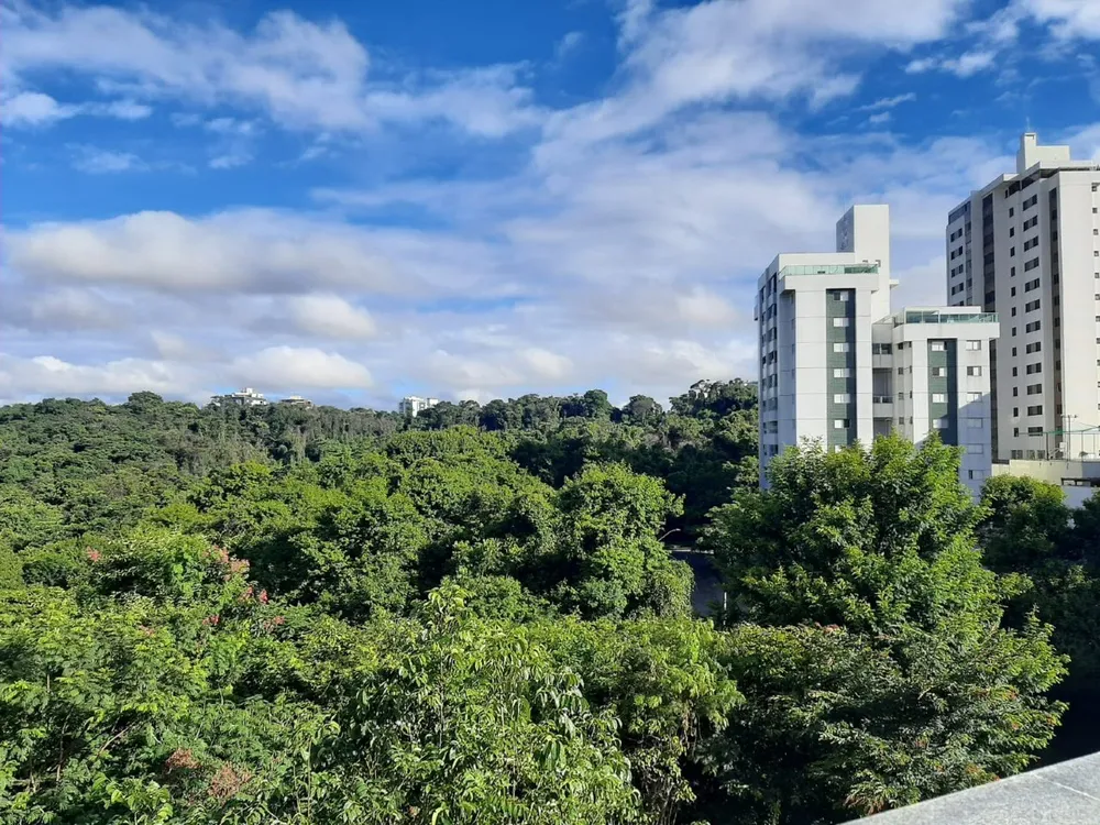 Cobertura, 5 quartos, 304 m² - Foto 12