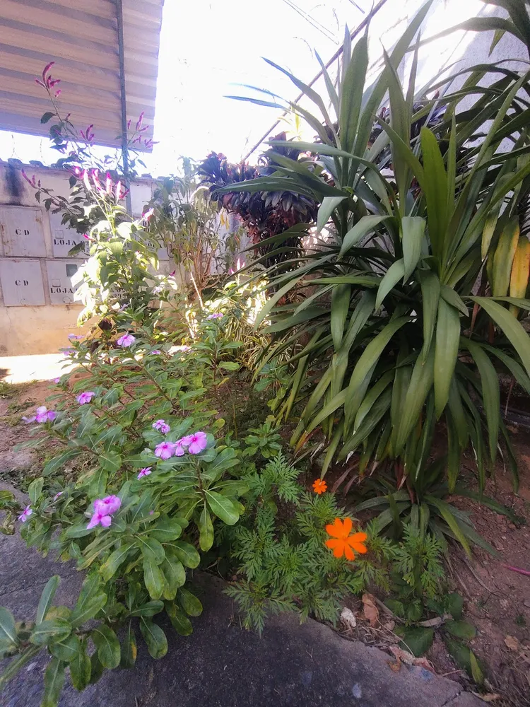 Apartamento, 2 quartos, 45 m² - Foto 13