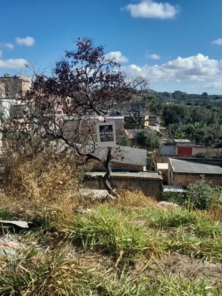 Loteamento e Condomínio, 200 m² - Foto 2