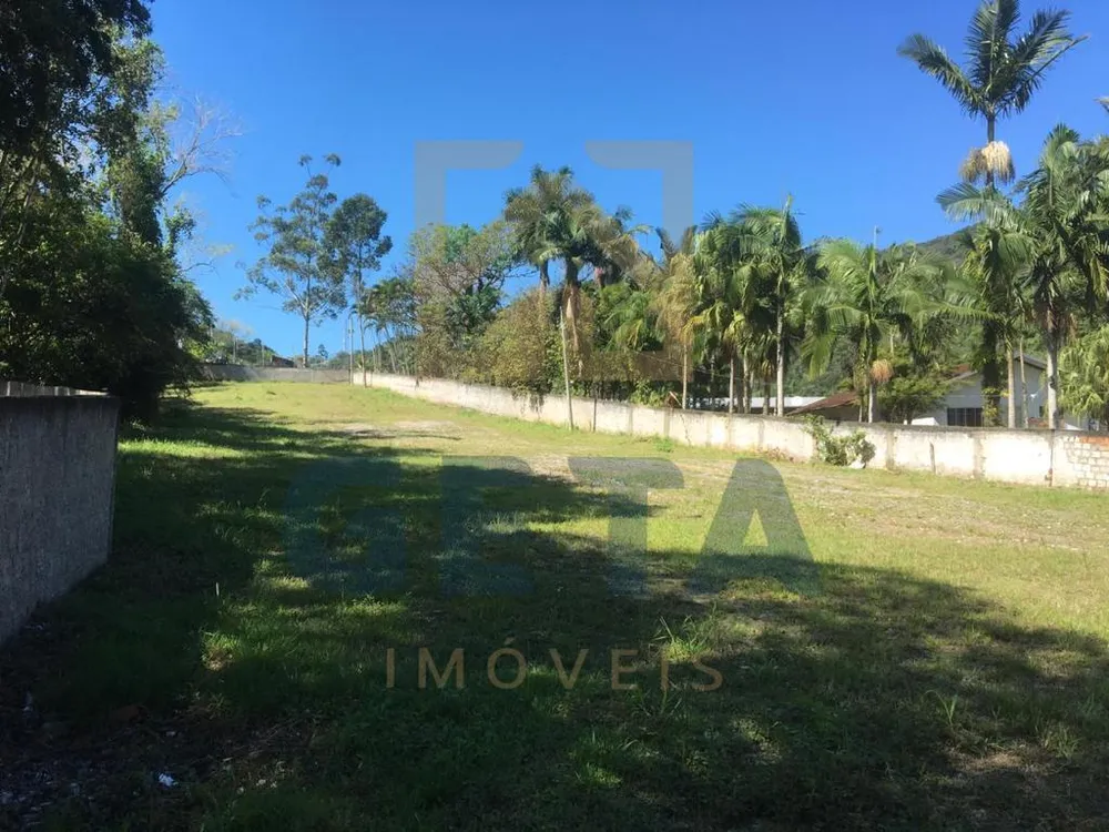 Terreno, 3000 m² - Foto 4