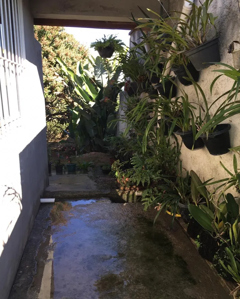 Chácara, 1000 m² - Foto 4